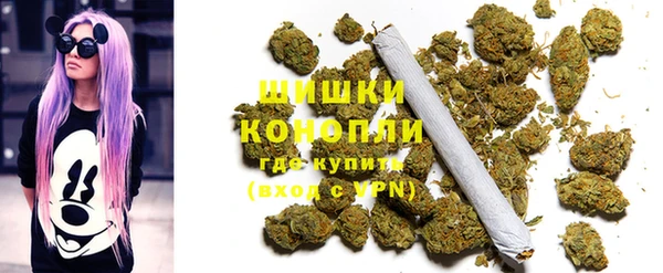 прущие крисы Аркадак