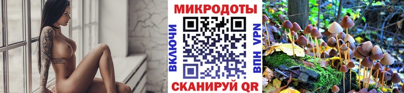 где купить наркоту  Сенгилей  дарк нет официальный сайт  Псилоцибиновые грибы ЛСД 